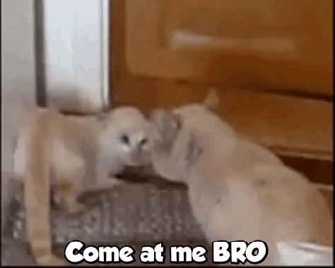 1-gCE2PYxe96r7CddQsmOW1w